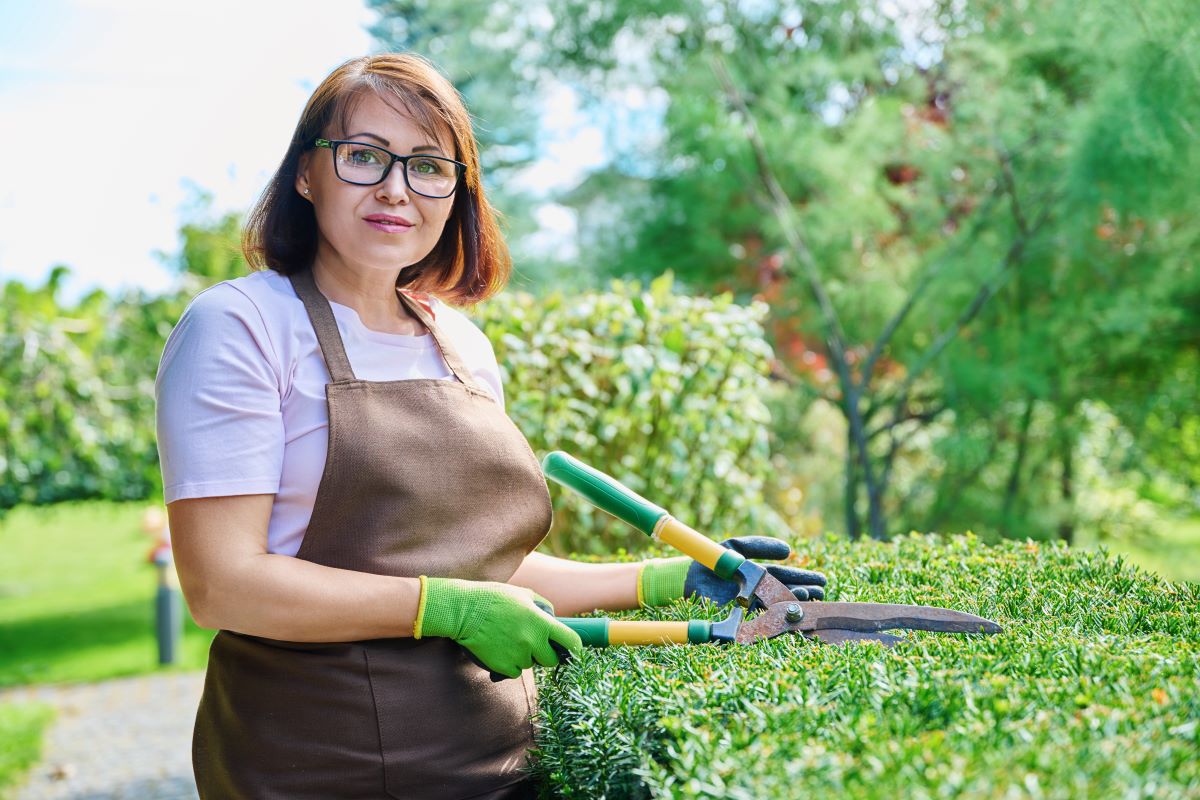 Gartenpflege im Jahr: Saisonkalender & Pflanzplan