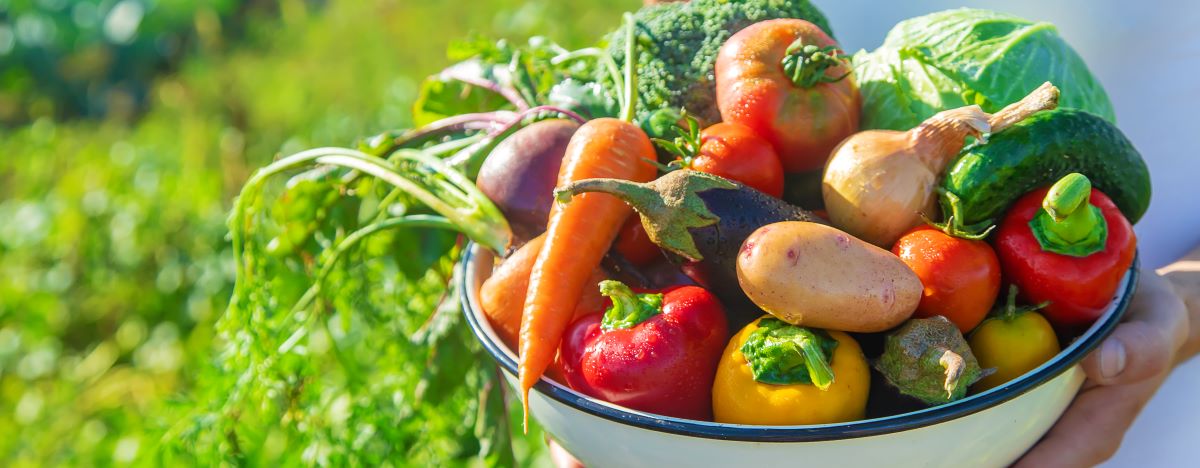 Saisonkalender: Obst & Gemüse nach Jahreszeit