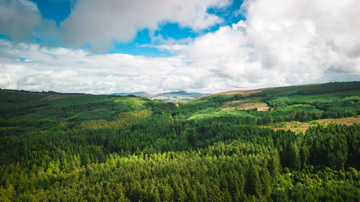Natur entdecken vor deiner Haustür – Tipps & Tricks