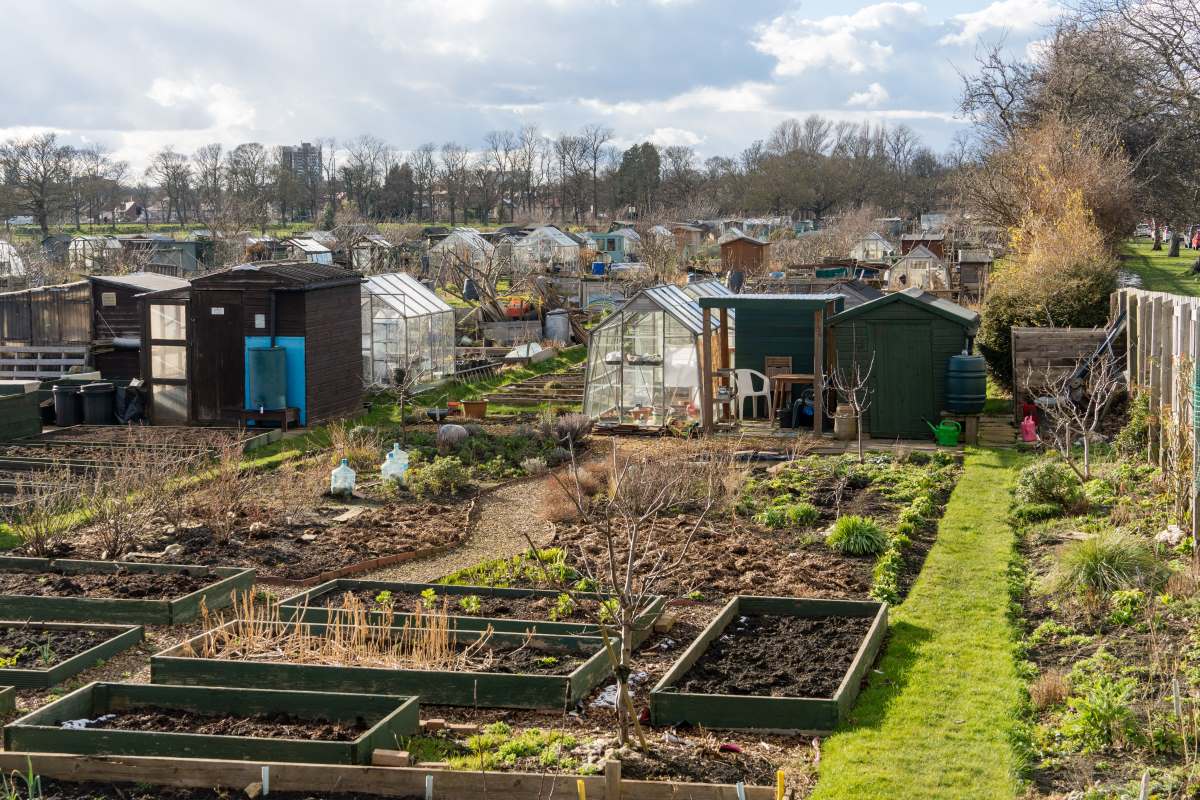 Schrebergarten in Mannheim: Pacht, Regeln und praktische Tip
